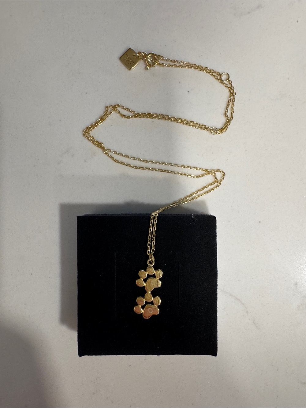 Pawsome Gold Plated Sterling Silver S925 Paw Print Initial Drop Necklace A+O
